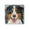 Stupell Industries Bernese Mountain Dog Ephemera Collage Canvas Wall Art
